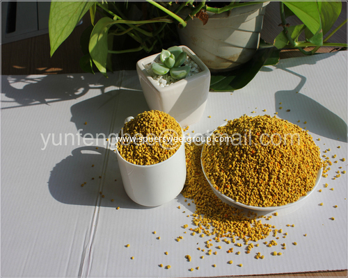 Pure rape bee pollen granule best quality natural bee pollen with bulk for sale