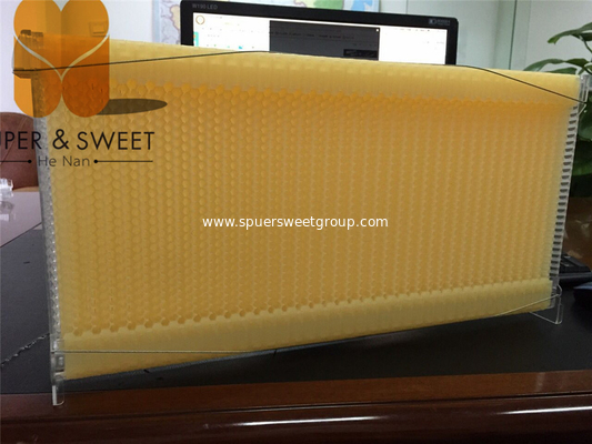 Manufactory Potented plastic honey bee hive flow frame