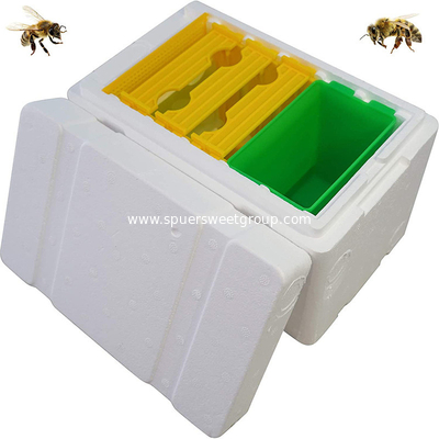 Plastic Mating Nuc bee hives bee breeding box mini foam polystyrene bee box beekeeping starter kit ESP mating