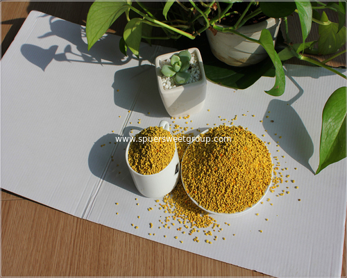 Hot selling Europe and America Rape/Sunflower Bee Pollen Granules