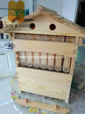 China Factory Supply High quality Plastic Automatic Hive Frames Vendor