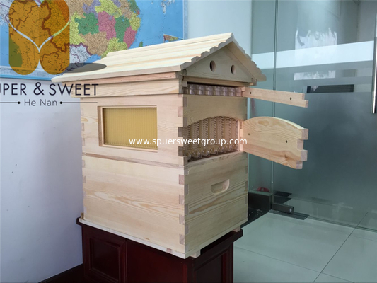 China Factory Supply High quality Plastic Automatic Hive Frames Vendor