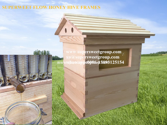 China Manufacturer Automatic 7 frames langstroth Flowing Honey Hive