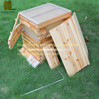 Manufactruer supply china fire&Pine Langstroth hive with 7pcs self-flowing honey hive frames