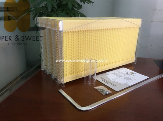 New honey plastic flowing bee frame for langstroth beehive/Chinese supplier