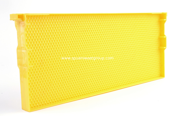 Beekeeping langstroth plastic beehive bee frame with plastic sheet supplier