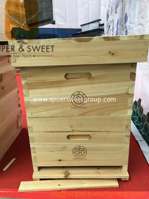 10 Frames Beekeeping Langstroth Beehive Bee hive Two Layer Hive with Full Hive Frame