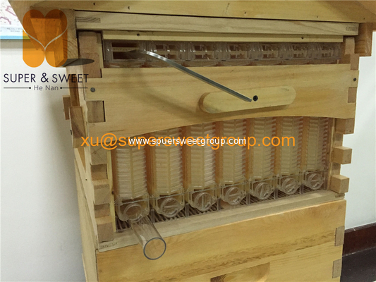 New style bee box automatic flowing honey bee hive wood with frame