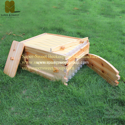 Flowing Honey Hive Frames (7pieces) Plastic Out Flow Bee Hive Frames with Bee Box