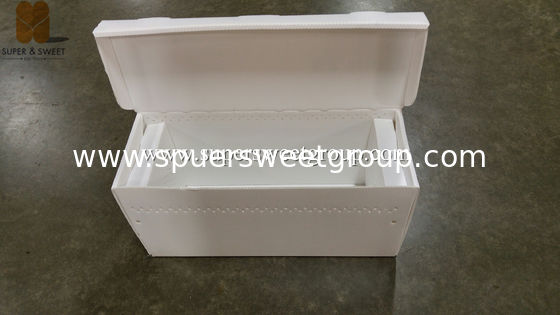 Polypropylene plastic Langstroth Nuc Box Beehive for Beekeeper
