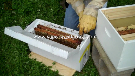 beekeeping manufacturers bee wooden Nuc box beehive for sale