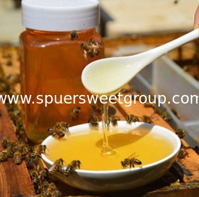 High Quality Halal Certified Multi-Flower Honey Custom Packaging Little Sachet Honey Bulk Wholesale Honey with No Additives
