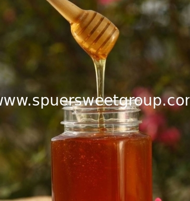 200kg Sidr (Jujube) Honey in China  High Purity 100 % Natural Honey Jujube Manufacturing OEM Available  Healthy Product