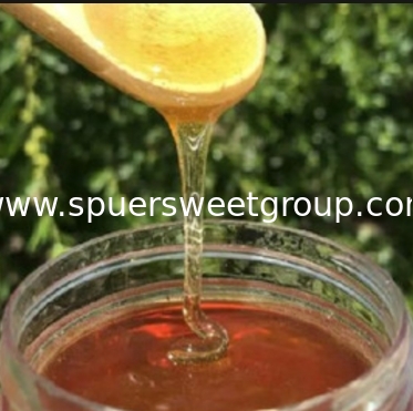 Natural Sidr Honey Export Bulk Price 100% Pure Jujube Honey Factory Supply Manufacture Price Packing in Barrel