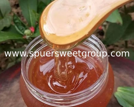 Natural Sidr Honey Export Bulk Price 100% Pure Jujube Honey Factory Supply Manufacture Price Packing in Barrel