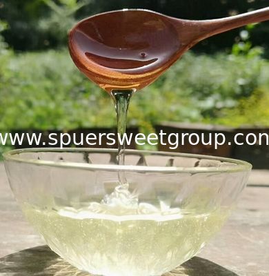 Premium Organic Acacia Honey Raw Natural Pure Sustainably Unprocessed Bulk Export Quality Acacia Honey Abeja De Miel Pura