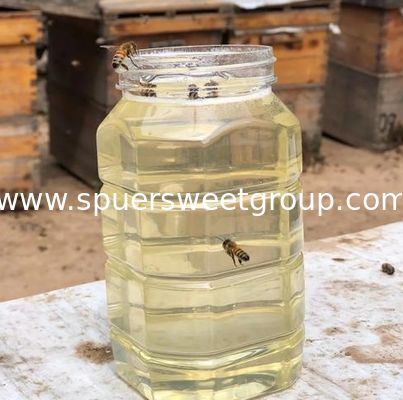Premium Organic Acacia Honey Raw Natural Pure Sustainably Unprocessed Bulk Export Quality Acacia Honey Abeja De Miel Pura