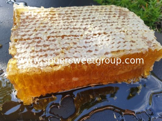 100% Organic Pure Natural Raw Honeycomb Bulk Wholesale Fresh Comb Honey with Whole Frame From China Wild Bees Premium Quality