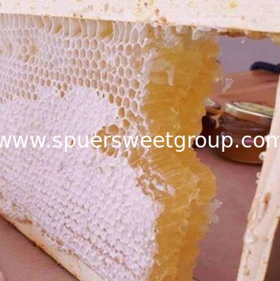 100% Pure Combing Honeycomb Airtight Food Grade Raw Honeycomb Taste Crunchy Chewy Jujube Honey Nature Unprocessed Bottle