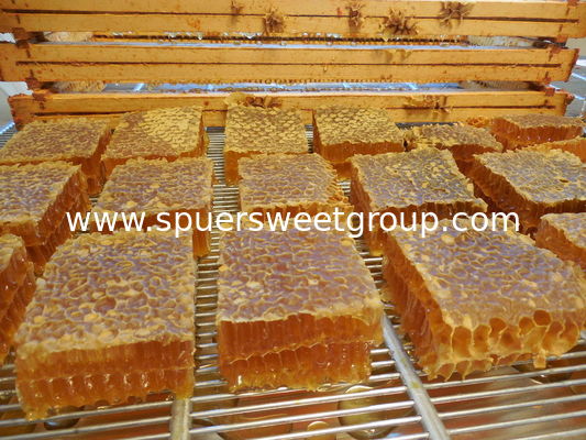 100% Pure Combing Honeycomb Airtight Food Grade Raw Honeycomb Taste Crunchy Chewy Jujube Honey Nature Unprocessed Bottle