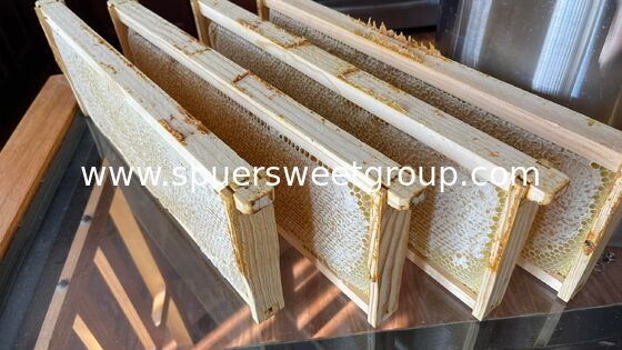 Raw Edible Honeycomb Natural Unfiltered Honey 100% Fresh Multiflower Bulk Organic Comb Honey with Whole Frame Wholesale Supplier