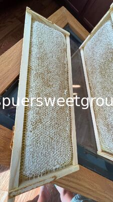 Natural Raw Honeycomb Honey Pure Organic Multiflower Bulk Wholesale Edible Honey Comb with Whole Frame 2kg From Wild Cultivation