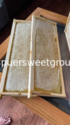 Raw Edible Honeycomb Natural Unfiltered Honey 100% Fresh Multiflower Bulk Organic Comb Honey with Whole Frame Wholesale Supplier