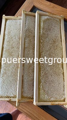Raw Edible Honeycomb Natural Unfiltered Honey 100% Fresh Multiflower Bulk Organic Comb Honey with Whole Frame Wholesale Supplier