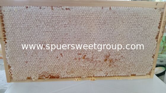 beehive honey All Natural Raw Honeycomb 100% Honey Pure  a whole frame Raw Honey Comb All Natural Edible Honey Combs Raw Edible