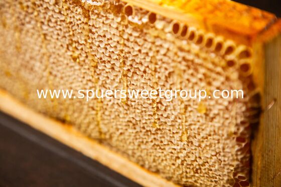 100% Natural Raw Honeycomb From China Sweet Taste Pure Wild Beehive Honey High Quality Bulk Sale With Whole Frame 2kg