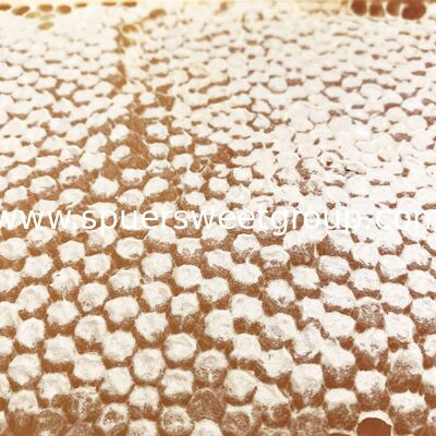 Premium Wholesale All Natural Raw Honeycomb 100 Pure Edible Beehive Honey Comb From Wild Multiflower Bee Honey with a Frame