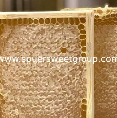 Best Selling 100% Pure Natural Raw Organic Multi-flower Comb Honey Whole Frame Bee Hive Wholesale Bulk Factory Direct