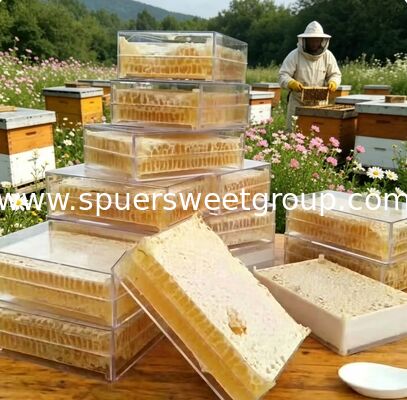 Wholesale Premium 100% Pure Natural Raw Edible Honeycomb 500g Box HACCP Certified Gourmet Superfood for Bakery Retail