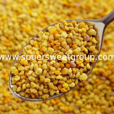 Food Grade Wholesale Bulk High Quality Natural Pure Fresh Extract Big Granules Flower Mixed Bee Pollen