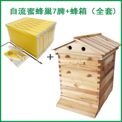 Chinese Wax-Coated Cedar Wood Automatic Self-Flowing Honey Bee Hive 7 Auto Frames Apiculture Beekeeping Equipment Tool