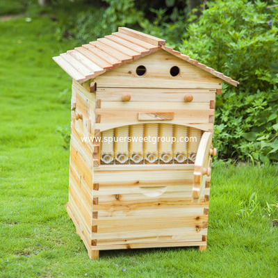 Factory Supply Australian Auto Beehive Honey Bee Box for Sale Automatic Wood Flow Bee Hive