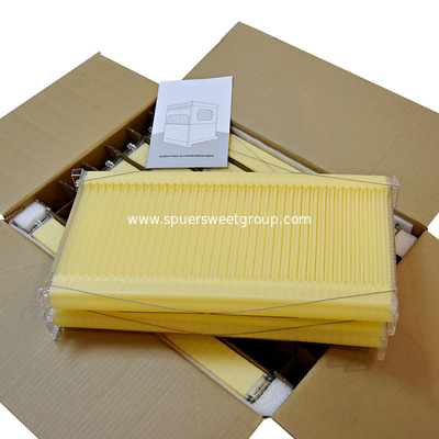 Factory Supply Australian Auto Beehive Honey Bee Box for Sale Automatic Wood Flow Bee Hive