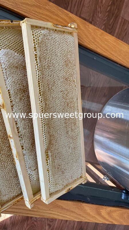 Premium 100 Percent Pure Raw Edible Honeycomb Natural Bee Honey with Whole Frame 2kg for Wholesale Bulk Supply High Quality
