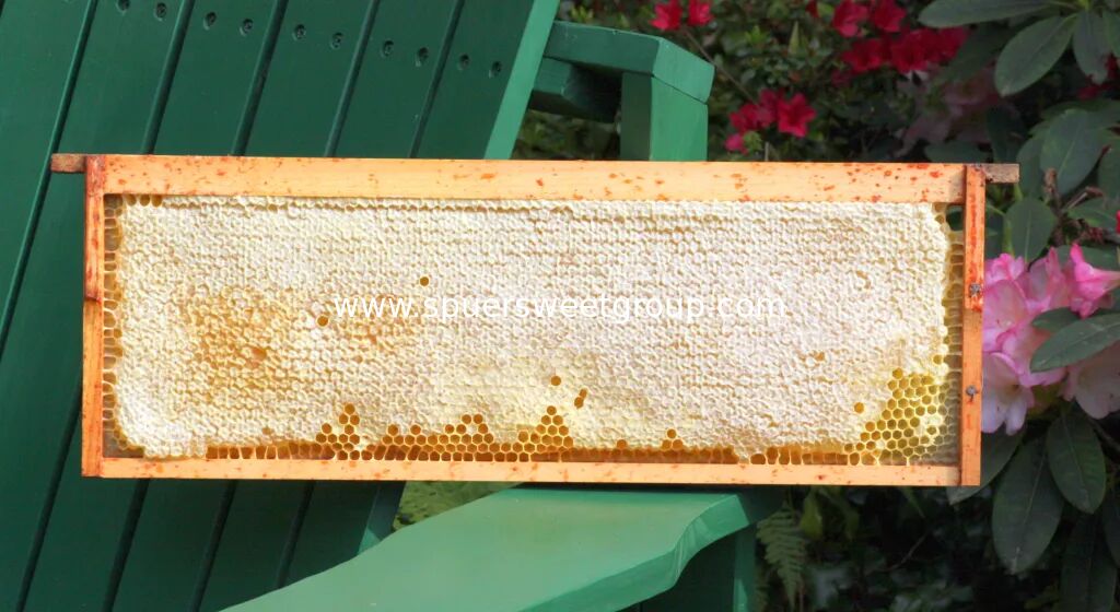 Premium Raw Edible Square Beehive Honey Comb Natural Unfiltered Pure Wild Mountain Flower Honey 100% Original Wholesale
