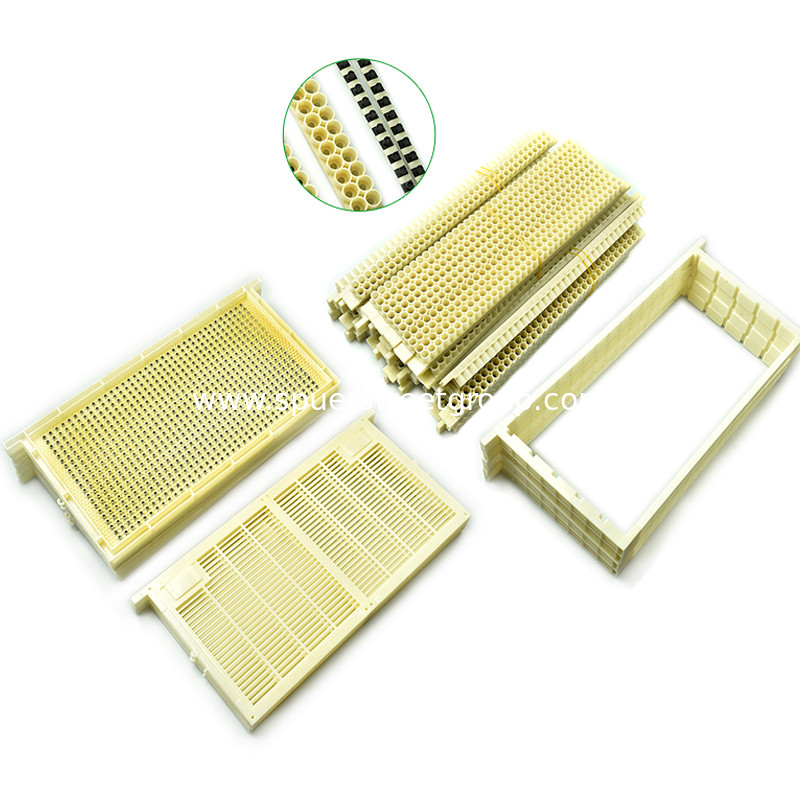 Beekeeping Queen Rearing System Bee Queen Rearing For Apis Mellifera Hot sale Height quatlity