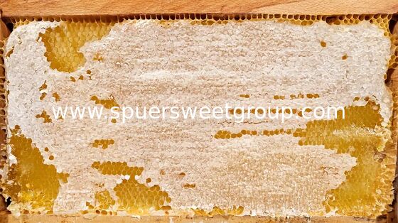 자연산 생 꿀벌집 꿀 순수 유기농 멀티플라워 대량 도매 식용 꿀벌집 통틀 2kg 야생 재배